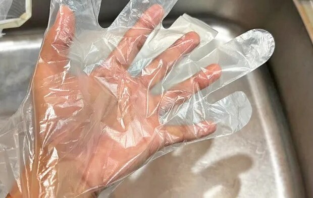 ビニール手袋をはめた写真（撮影：キジカク）