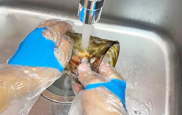 ダイソー『手袋ピタット』の使用写真（撮影：キジカク）