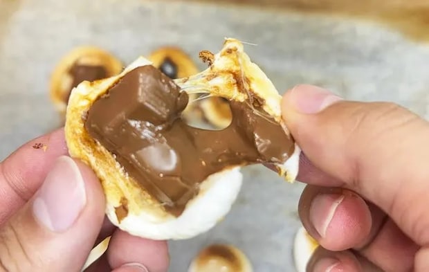 『焼きマシュマロクッキーにトッピング』の完成写真（撮影：キジカク）