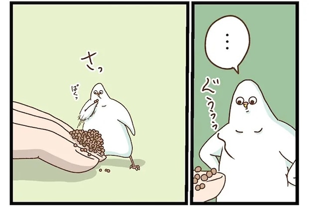 タクセリョリータさんの漫画の画像