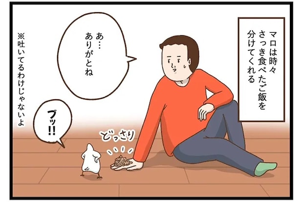 タクセリョリータさんの漫画の画像