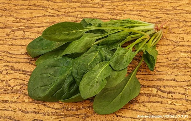 ホウレンソウのイメージ写真