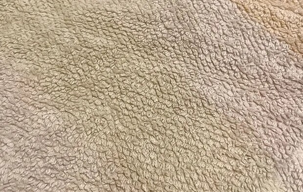 パイル地のタオルの写真