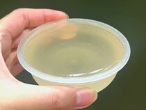 上司「この音…天ぷらでも揚げてるの？」　ローソンの『音が鳴るゼリー』が新感覚！【11月の新商品】