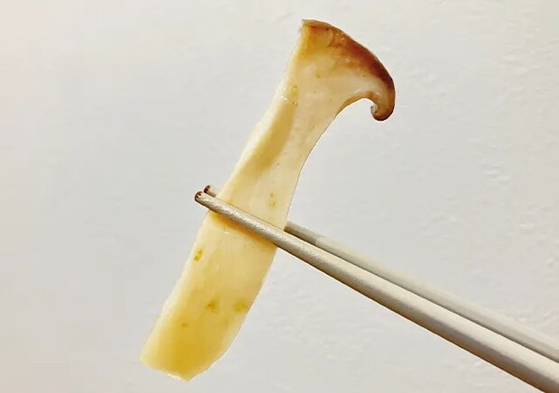 エリンギ（撮影：grape編集部）