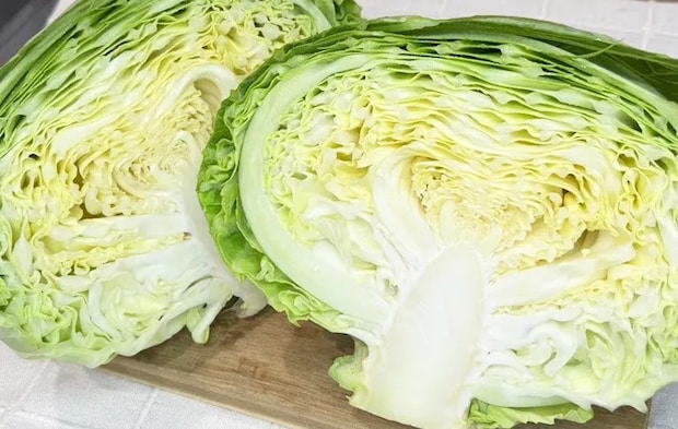 キャベツの写真（撮影：キジカク）