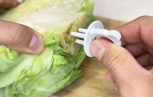 ダイソー『野菜フレッシュキーパー』の使用写真（撮影：キジカク）