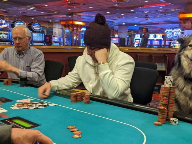 撮影者「今でもこの写真が大好きです」 ゲーム中、椅子に座っていたのは?