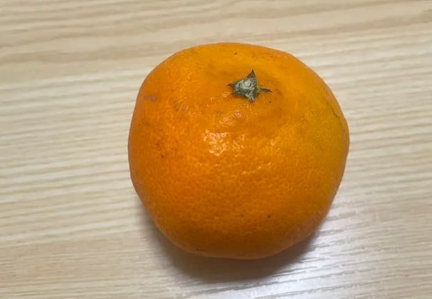 ミカンの写真（撮影：grape編集部）