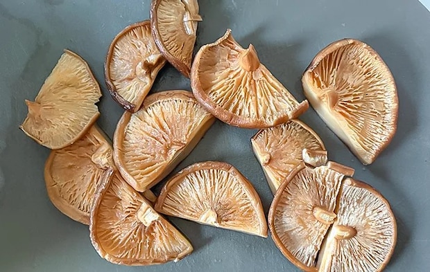シイタケを半分にカットした写真（撮影：エニママ）