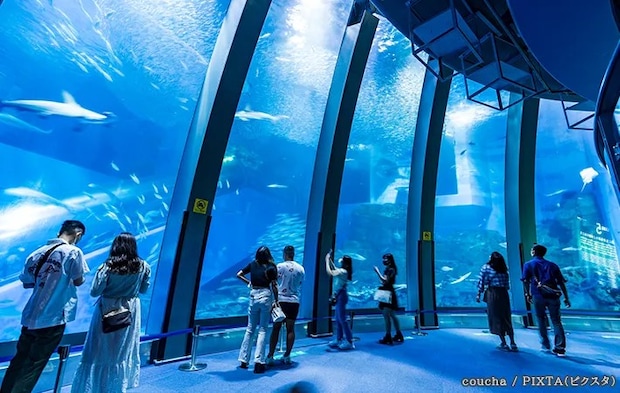 水族館の写真