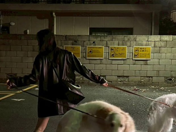 ボルゾイとの『散歩写真』に１７万いいね！　「ポーズをとったわけじゃないけど…」