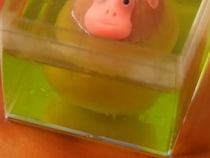 温泉にのんびり浸かるサル　和菓子職人が練り切りにすると？「粋だな」