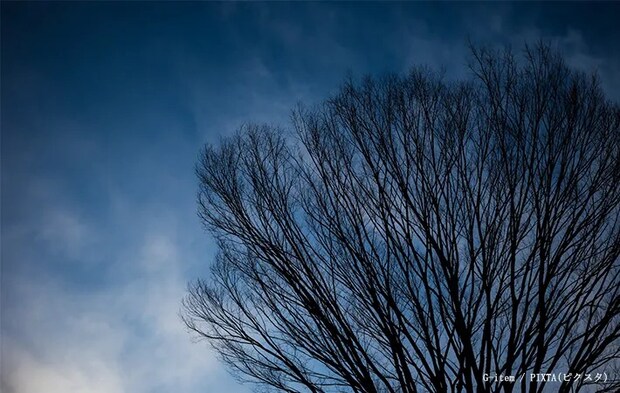 凍空のイメージ写真