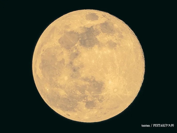 満月の画像