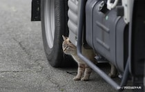 「これは本当に大切」「常識になってほしい」 『7万いいね』を集めた注意喚起とは