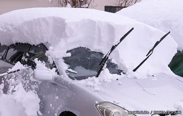 雪が積もった車の写真