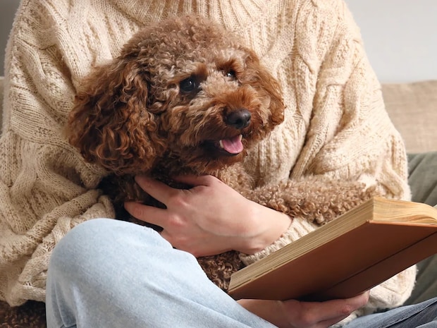最終ページが見えてきた『5年日記』 トイプードルとの思い出と、その節目がくれた変化とは