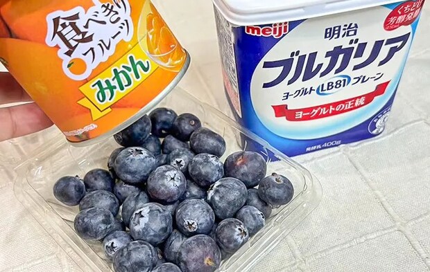 『一口フローズンヨーグルト』材料の写真（撮影：キジカク）