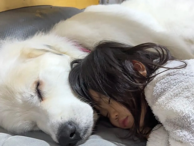 3歳の娘と4歳の愛犬、お昼寝姿がまるで? 「かわいすぎて泣ける」「素敵な関係」