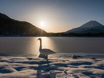 12月21日は年内最後の一粒万倍日　天赦日も重なる“特別な日”にやるべきことリスト