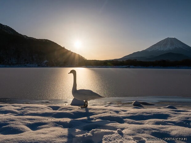 12月21日は年内最後の一粒万倍日　天赦日も重なる“特別な日”にやるべきことリスト