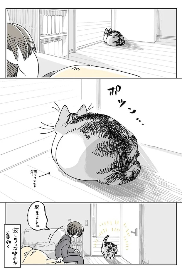 キュルZさんの漫画の画像