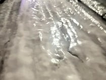 「家まであと少しなのに」　クリスマスケーキを持ち帰る途中、絶望した理由が？