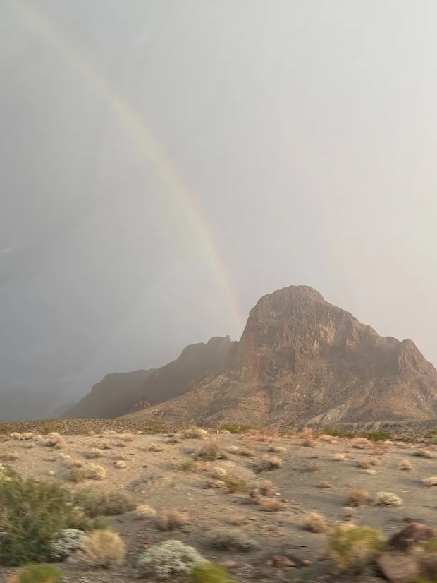 虹の写真（撮影：grape編集部）