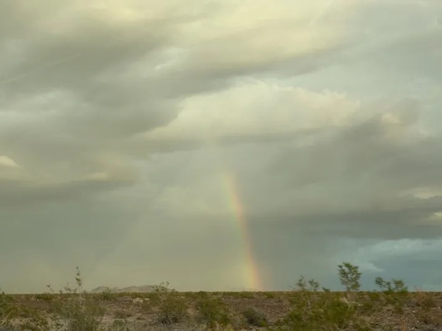虹の写真（撮影：grape編集部）