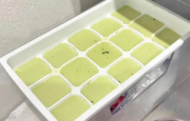 『抹茶ミルク シャーベット』を作る写真（撮影：キジカク）