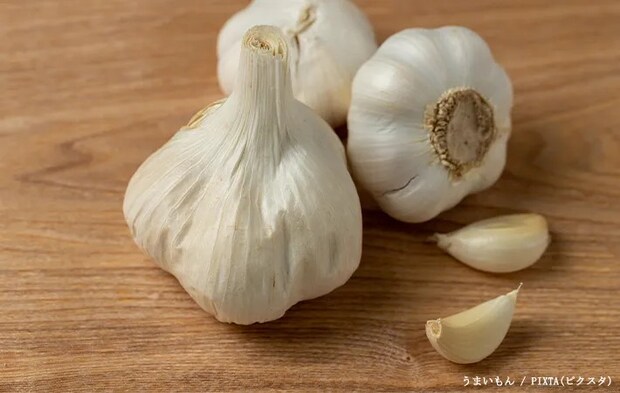 ニンニクの写真
