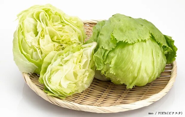 レタスの写真
