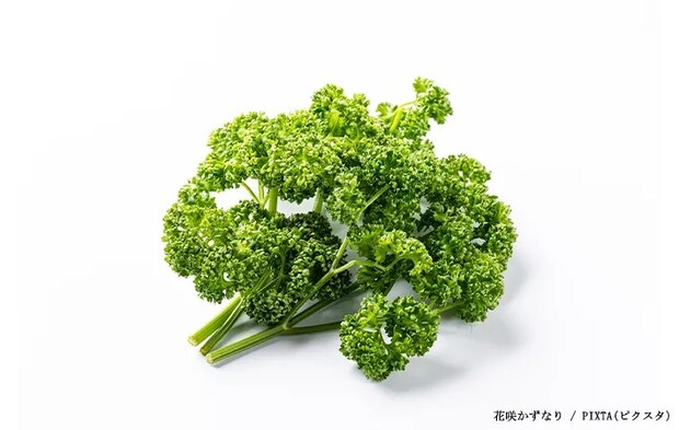 パセリの写真