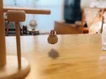 お、おいしそう…　浮かぶ文鳥の姿に爆笑！まさかの鈴カステラ化が話題