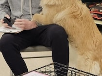 「選んでくれてありがとう！」　里親が決まったばかりの保護犬　新しい家族に近付くと…？