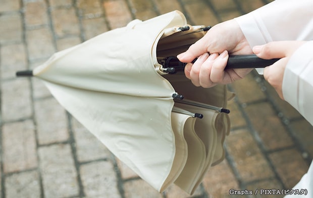 傘の写真