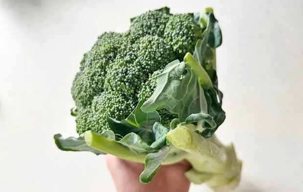 ブロッコリーの写真