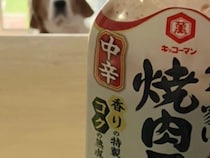 実家の母から送られてきた写真　写っていたのは…？「吹いた」「ピントが合ってる」