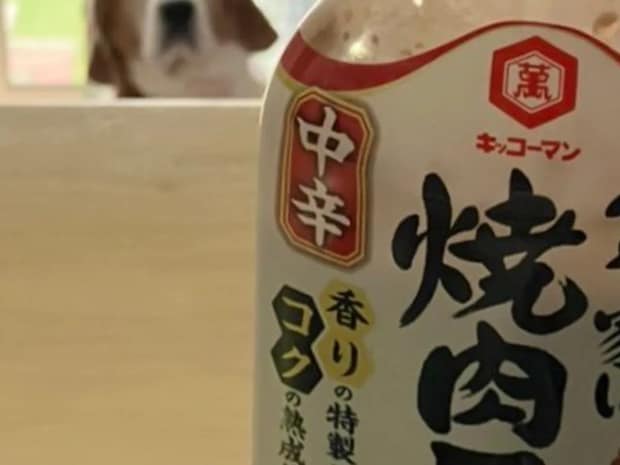 実家の母から送られてきた写真 写っていたのは…?「吹いた」「ピントが合ってる」