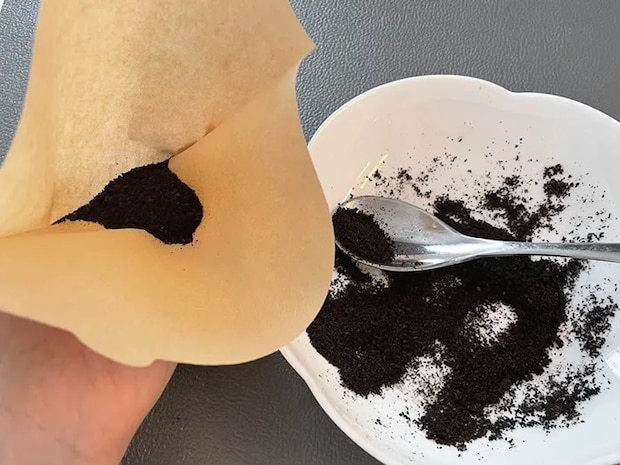 コーヒーかす活用法の写真