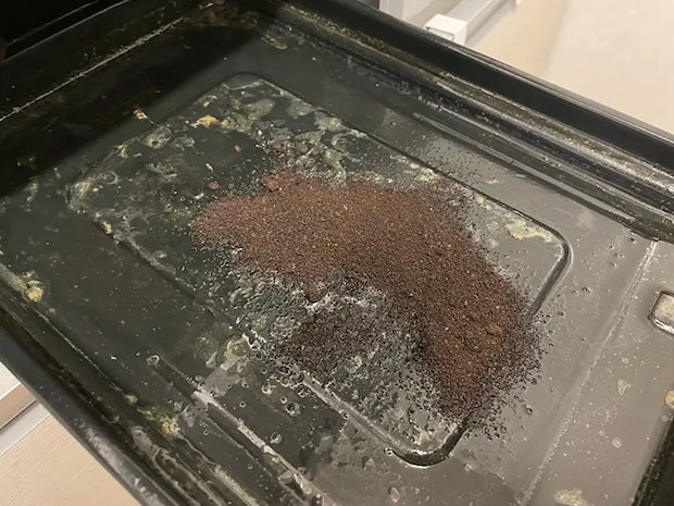 コーヒーかす活用法の写真