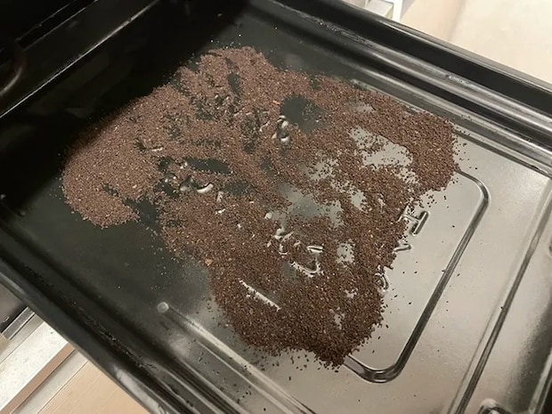 コーヒーかす活用法の写真