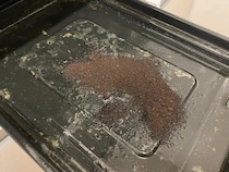 使用後の魚焼きグリルに撒いたのは…『抽出後のコーヒー粉』　やらなきゃ損なライフハックが？
