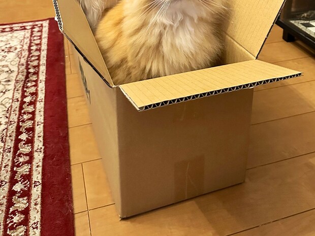 「迎えに行かせるね」　渋滞に巻き込まれた夫へ、妻が送った内容に「こんな車が来たら最高」「笑った」