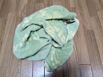 実はこんなに汚れてる！　バスタオルは毎日洗うべき理由【プロ監修】