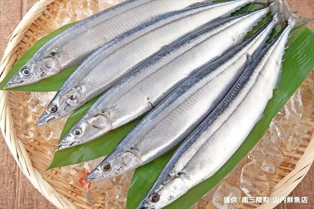 サンマの写真