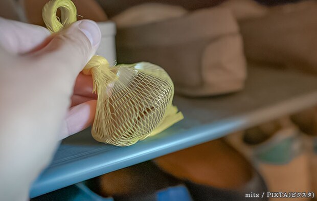 靴と10円玉の写真