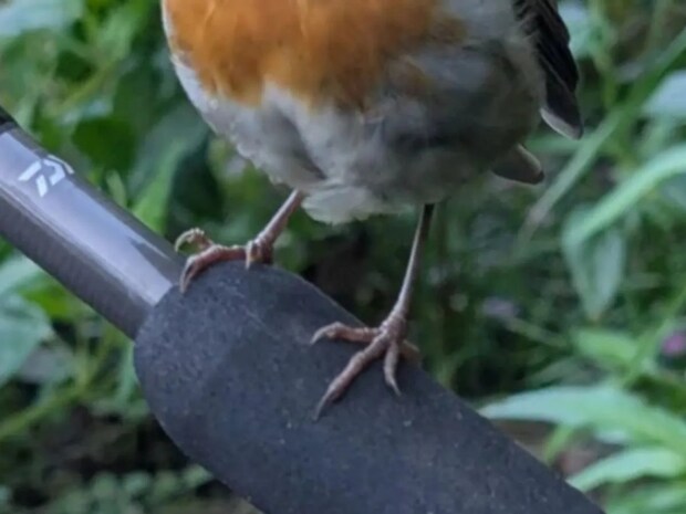 「これできみはディズニープリンセスだ」　川で釣りをしていた男性が大喜びしたワケは…？