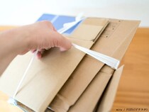 ゴキブリ対策が必要なのは『秋』！　翌年の発生を防ぐ3つの予防策